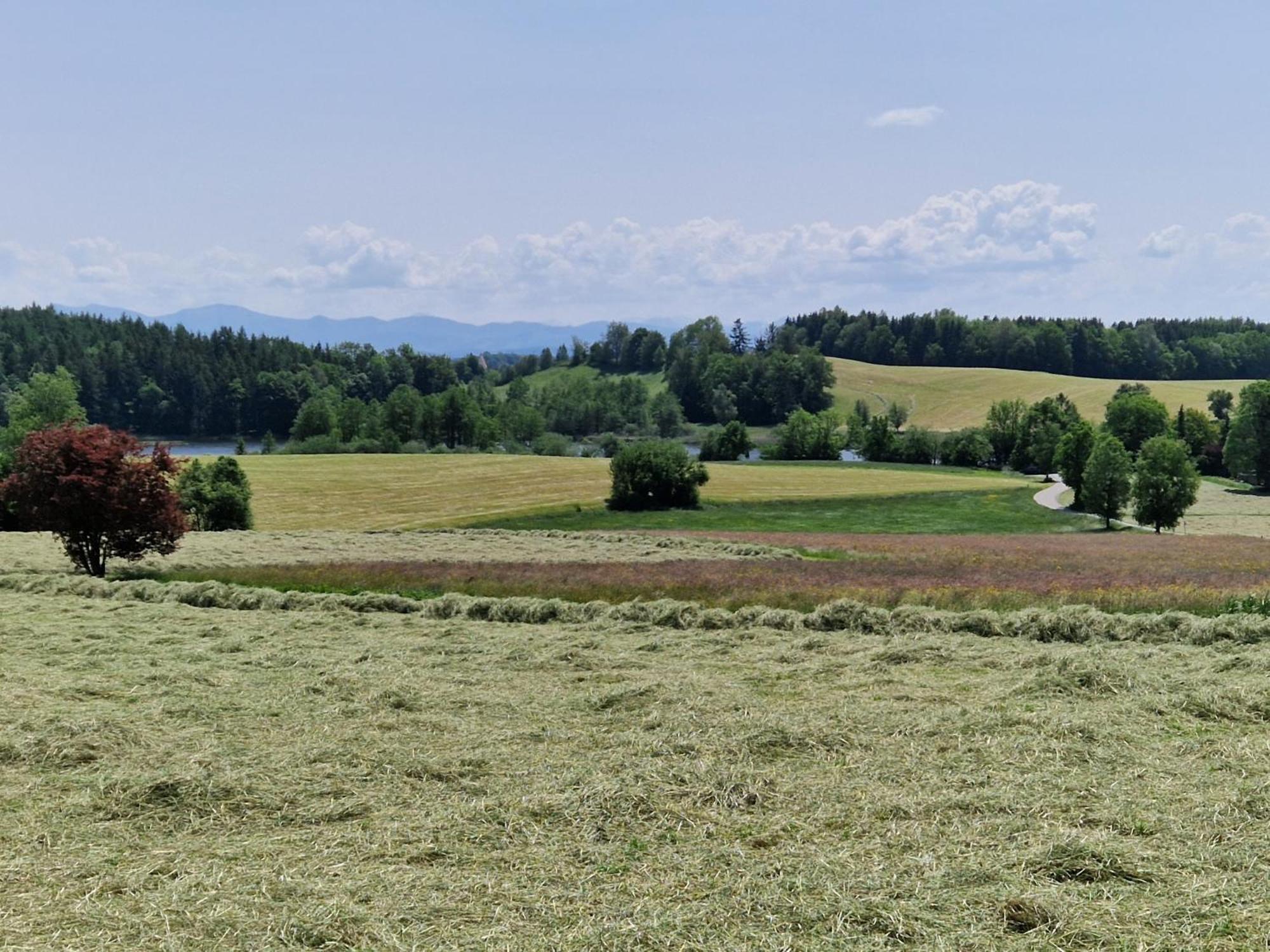 Ferienwohnung Ewigkeit - 4-Sterne Dtv Klassifiziert Leutkirch im Allgäu Exterior foto