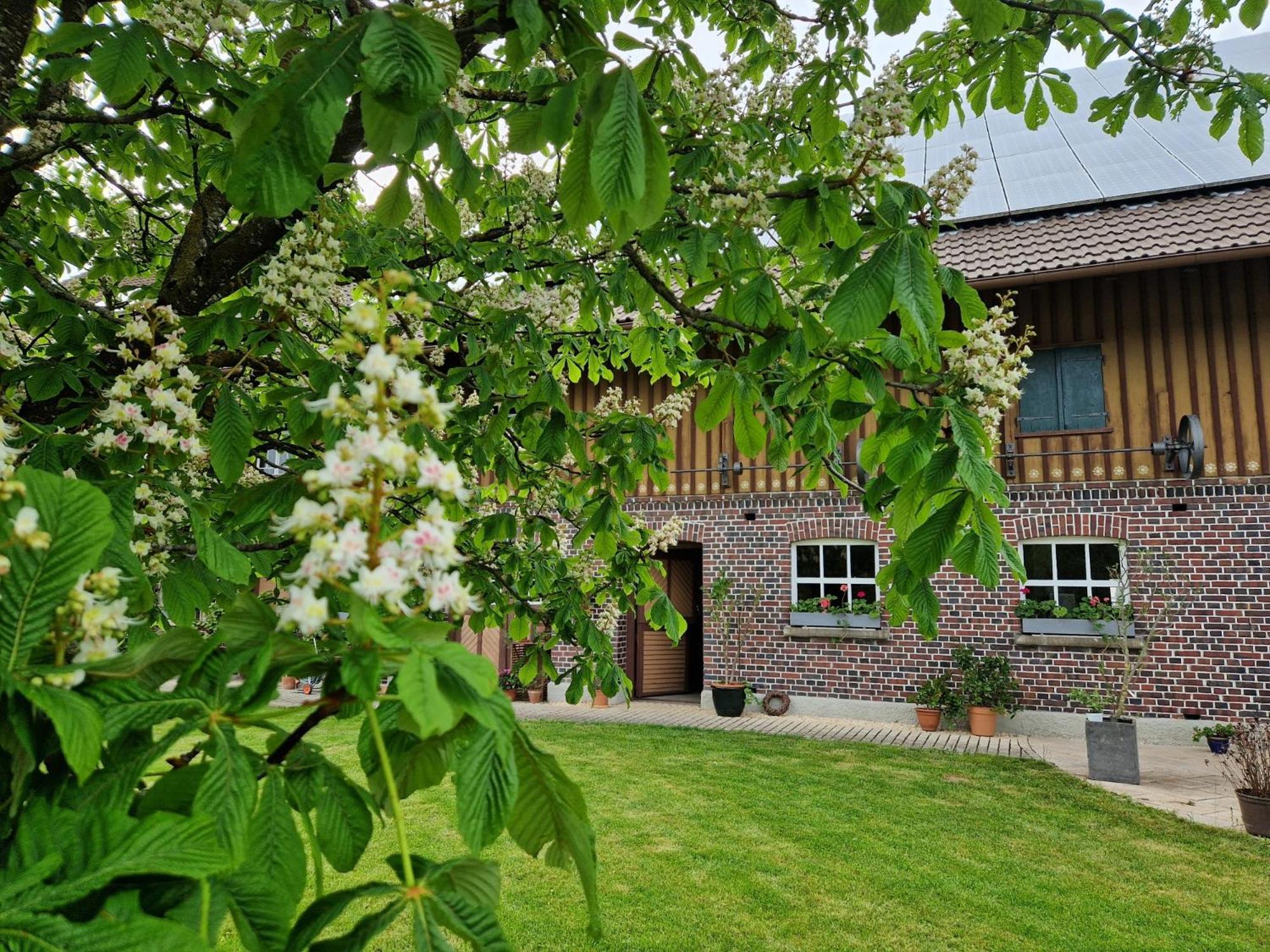 Ferienwohnung Ewigkeit - 4-Sterne Dtv Klassifiziert Leutkirch im Allgäu Exterior foto